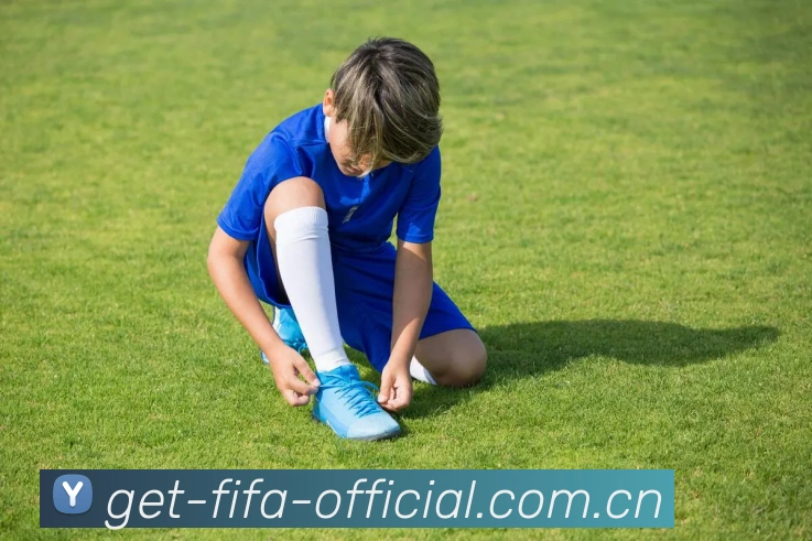 FIFA 官方数据授权认证